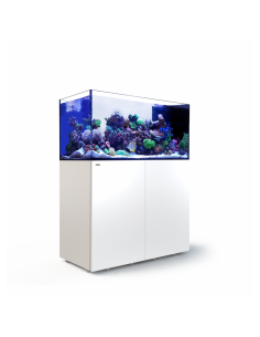 Red Sea REEFER Peninsula Systeme P500 Komplettsystem - Weiss
