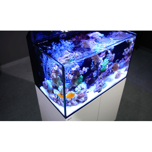 Red Sea MAX® E-Serie inkl. LED E 170 in weiss
