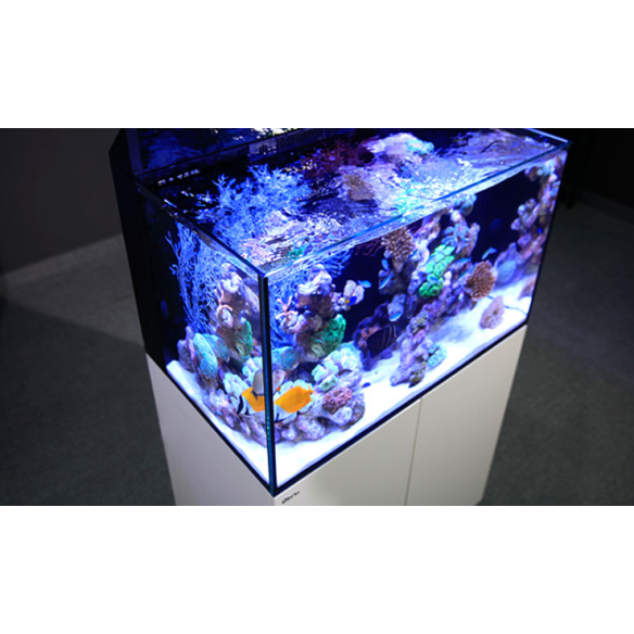 Red Sea MAX® E-Serie inkl. LED E 260 in weiss