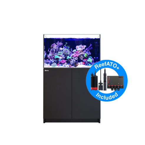 RED SEA REEFER™ 300XL COMPLETE SYSTEM G2 INKL. REEFATO+ - Schwarz