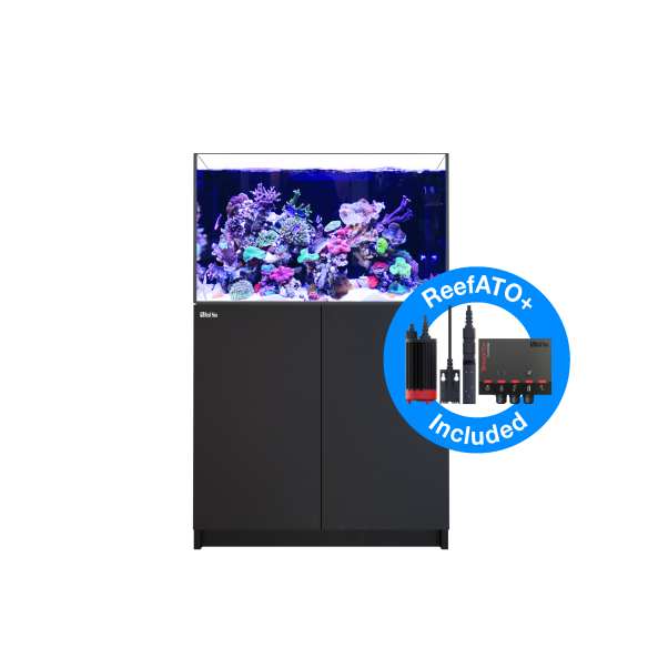 RED SEA REEFER™ 300XL COMPLETE SYSTEM G2 INKL. REEFATO+ - Schwarz