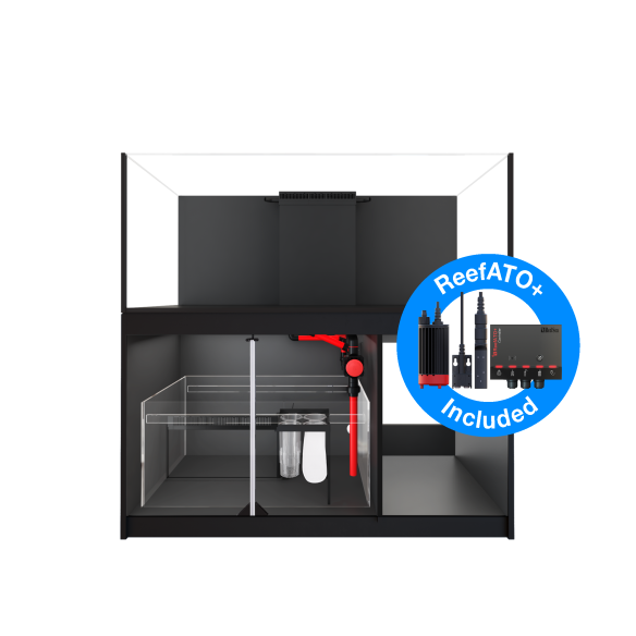 RED SEA REEFER™ 625 COMPLETE SYSTEM G2 INKL. REEFATO+ - SCHWARZ