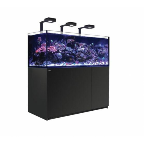 Red Sea Reefer Deluxe 625 G2+ schwarz