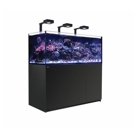 Red Sea Reefer Deluxe 625 G2+ schwarz