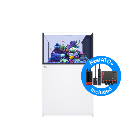 Red Sea Reefer Peninsula 350 G2+ Deluxe schwarz, 2 x ReefLed90 und Abhängung