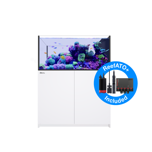 Red Sea Reefer Peninsula G2+ 500 Deluxe schwarz - 3 x ReefLed 90S und Hängehalterung